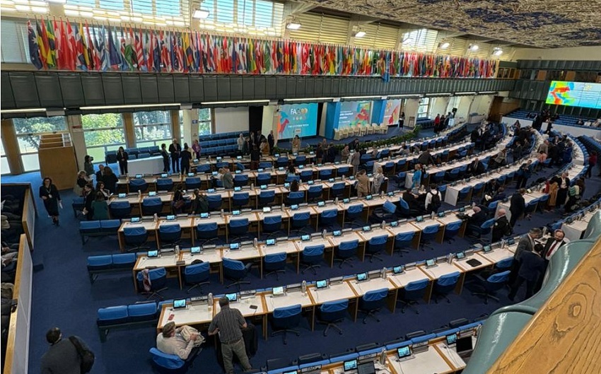 CNA participa de Conferência da FAO sobre pecuária sustentável