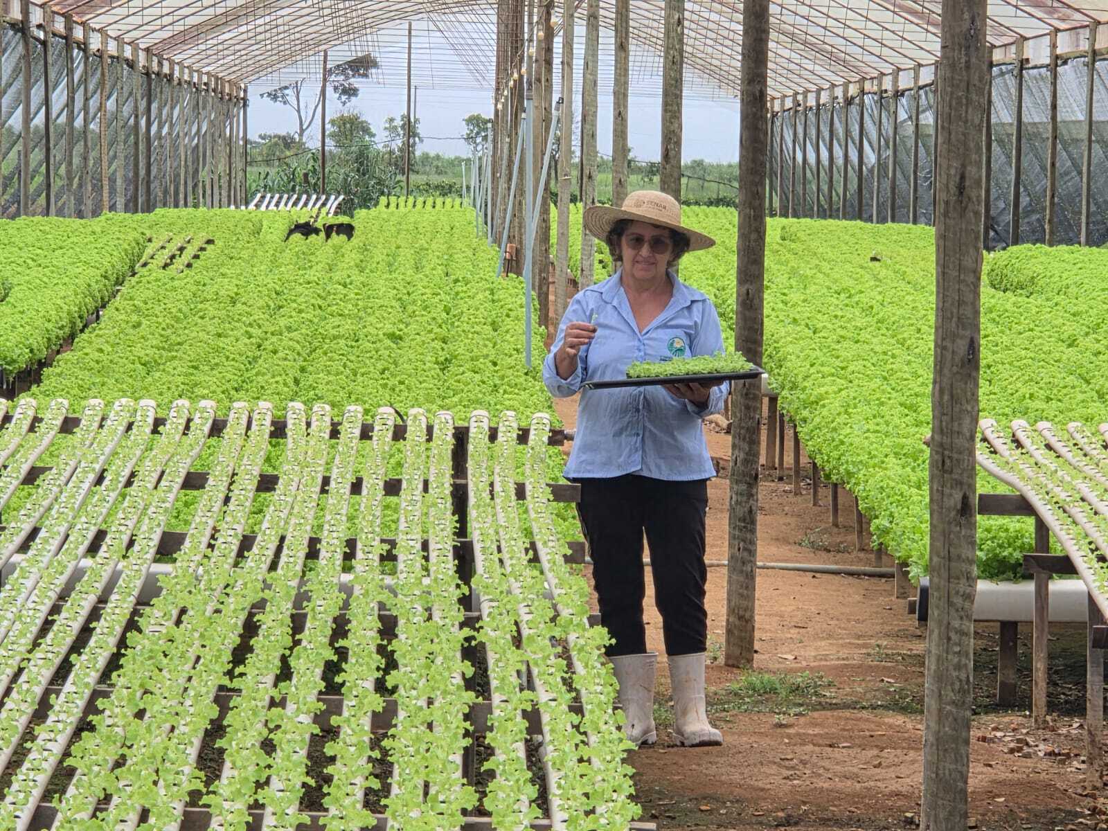 No campo, produtora rural transforma conhecimento em renda e sustenta a família com a produção de hidroponia