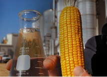 Milho invade as indústrias de produção de etanol