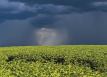 Produtores rurais afetados por adversidades climáticas podem renegociar dívidas
