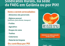 Sistema Faeg lança campanha para arrecadar doações para o Rio Grande do Sul