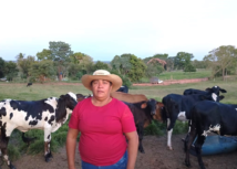 Produtores do Sindicato Rural do Vale do Rio Branco aumentam em 62% a produção de leite com ATeG