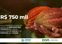 Senar-ES recebe R$ 750 mil para investimentos em cacau e pimenta-do-reino