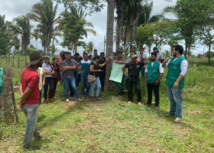 Parceria entre ATeG do Senar/PA e projeto Renovar reúne produtores em dia de campo em São Domingos do Araguaia