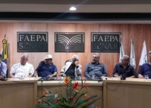 CNA e citricultores do Pará discutem situação da Mosca da Carambola