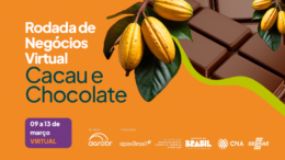 Rodada de Negócios Virtual - Chocolate e Cacau