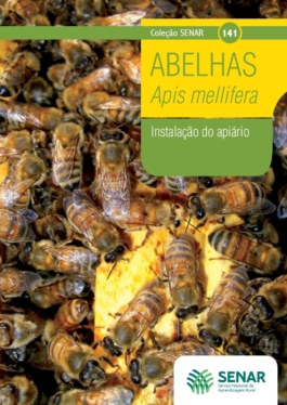 Abelhas Apis mellifera - instalação do apiário