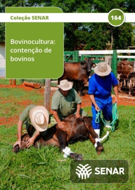 Bovinocultura - contenção de bovinos