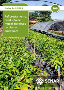 Reflorestamento - produção de mudas florestais no bioma amazônico