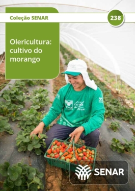 Olericultura - cultivo do morango