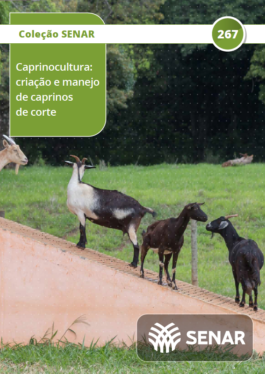 Caprinocultura -  criação e manejo de caprinos de corte