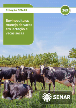 Bovinocultura - manejo de vacas em lactação e vacas secas