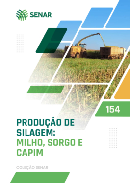 Produção de Silagem: milho, sorgo e capim