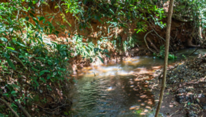 Produtores rurais: guardiões do meio ambiente