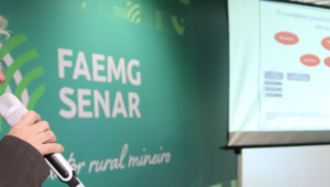 PIB do agro de Minas alcança R$228,6 bi em 2023