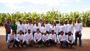 Agronorte - No Tocantins o tema foi Fertirrigação