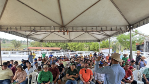 Dia de Campo reúne 300 participantes e consolida maior encontro da bovinocultura no Mearim