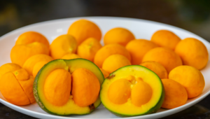 Assistência técnica impulsiona produção de pequi e transforma realidade de produtora em MT