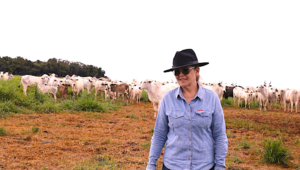 ATeG Inseminação leva tecnologia ao campo e transforma a pecuária