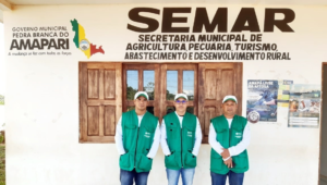 SENAR/AP capacita técnicos da prefeitura de Pedra Branca do Amapari para a execução da Assistência Técnica e Gerencial