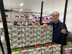 AgroBR alcança mil produtores e amplia inserção de empresários brasileiros no mercado internacional