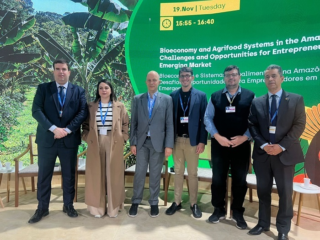 CNA participa de debates na COP 29