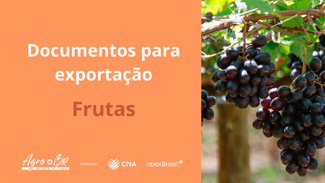 6ª CAPACITAÇÃO - Documentos para exportação no setor de frutas