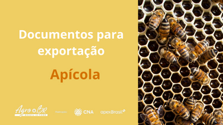 6ª CAPACITAÇÃO - Documentos para exportação no setor de mel