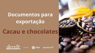6ª CAPACITAÇÃO - Documentos para exportação no setor de cacau e chocolates