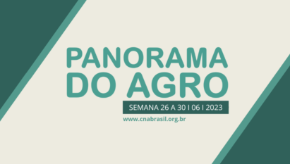 PANORAMA DO AGRO - SEMANA DE 26 A 30 DE JUNHO