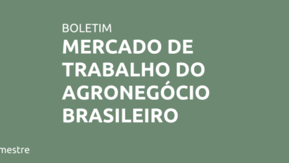 MERCADO DE TRABALHO DO AGRONEGÓCIO BRASILEIRO