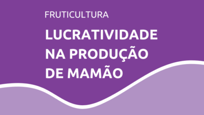 Quais fatores mais afetam a lucratividade na produção de mamão em Itabela (BA) e Linhares (ES)?