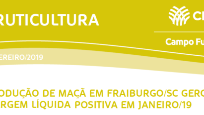 PRODUÇÃO DE MAÇÃ EM FRAIBURGO/SC GEROU MARGEM LÍQUIDA POSITIVA EM JANEIRO/19