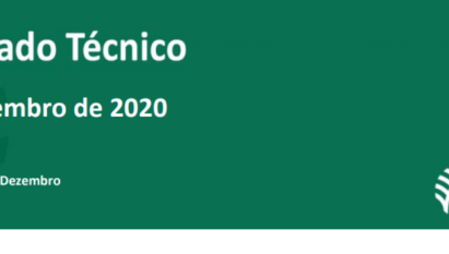 INFLAÇÃO ACELERA NOVAMENTE EM NOVEMBRO/2020