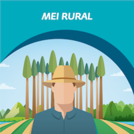 MEI Rural