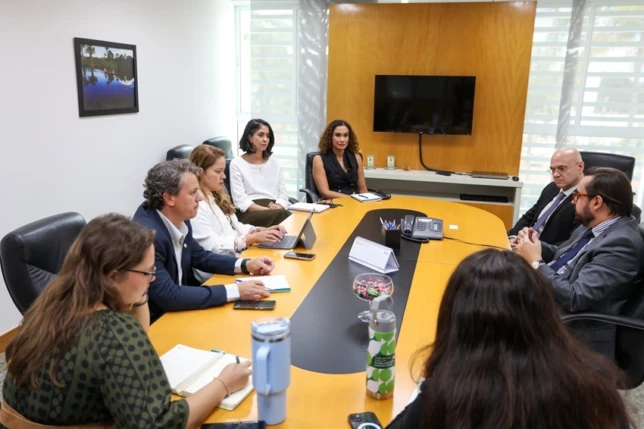 CNA se reúne com diretor do Departamento de África do Itamaraty