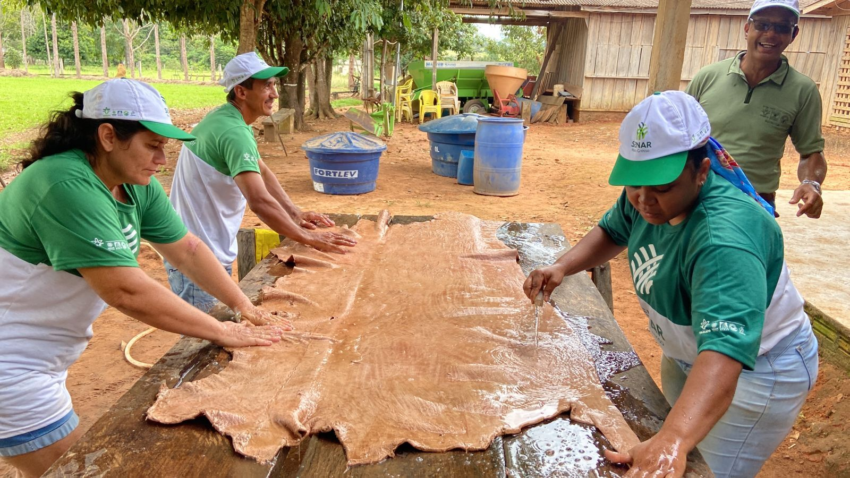 04 24 abr curtimento e conservacao de couro bovino 1