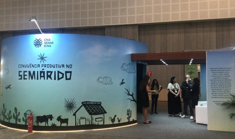 Whats App Image 2023 06 15 at 12 18 35