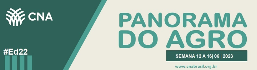 IMAGEM PA 12 A 16 DE JUNHO