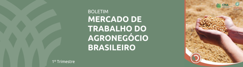 COMUNICADO TECNICO 7