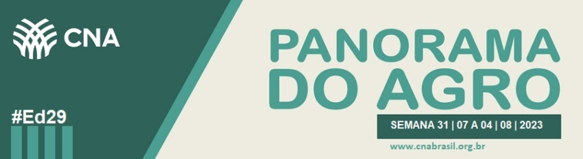 IMAGEM PA 31 DE JULHO A 4 DE AGOSTO