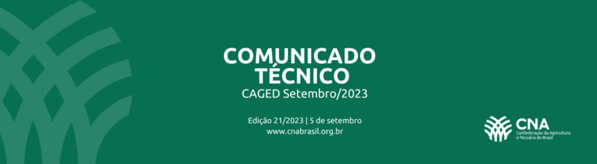 COMUNICADO TECNICO 28