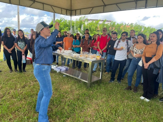 Forrageiras do semiarido