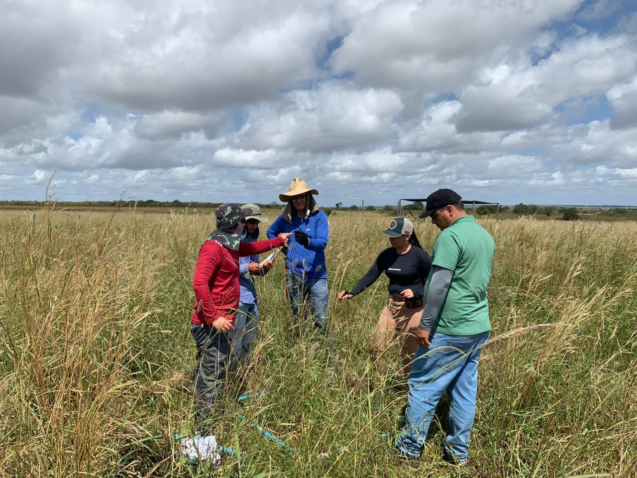 Imagem do Whats App de 2023 09 14 as 10 12 48