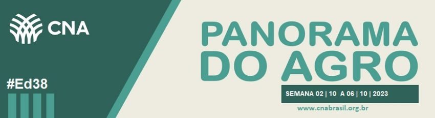 IMAGEM PA 2 A 6 DE OUTUBRO