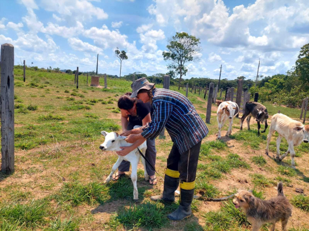 10 16 out ateg leite sinop 26