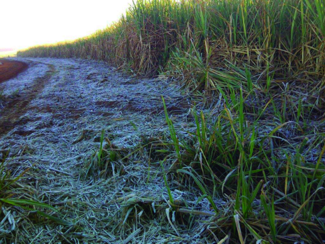 Mandaguau 20130828 00066