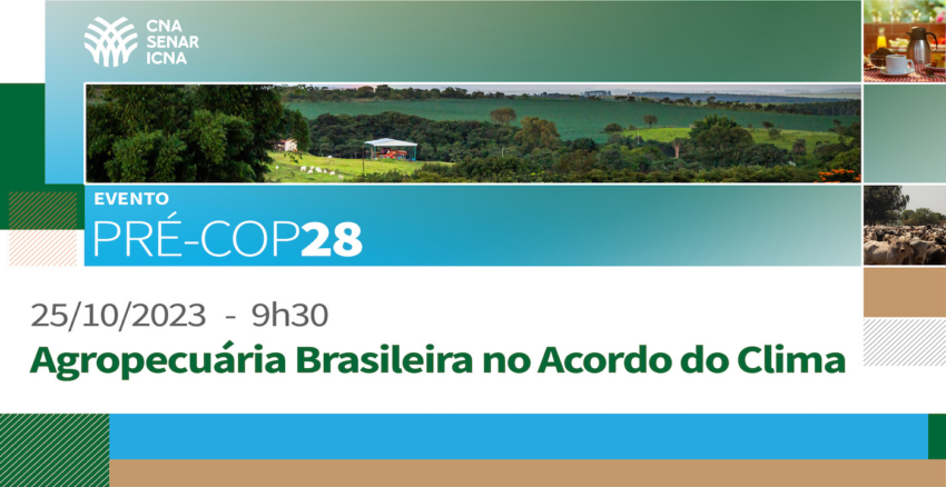 Ativo 13 banner final