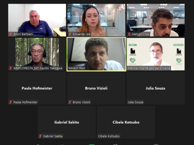 Eduarda Silvicultura