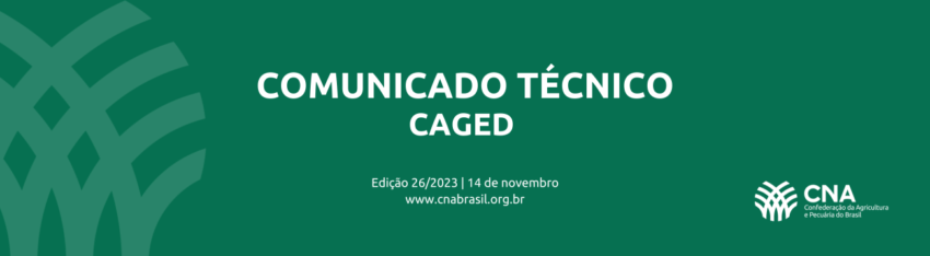 COMUNICADO TECNICO 7